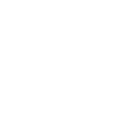 Skullyprotekt Logo