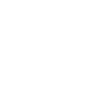 Skullyprotekt Logo